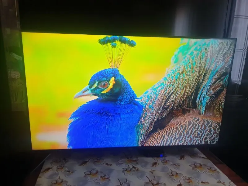 Описание: в продаже телевизоры. tcl 65c717.qled. 65 дюймов. 4k, wi-fi, t2, bluetooth, smart tv, android. цена 43000 руб. haier 50 smart tv dx. 50 дюймов. полный комплект. 4k, wi-fi, t2, bluetooth, smart, android. цена 23000 руб. lg 55 lv340c. 55 дюймов. премиум. практически не использовался. изображение супер. в комплекте smart приставка. без приставки дешевле. цена с приставкой 25000 руб. возможна доставка домой. цена: 23000 руб. 📲 tg: serg 📞🇷🇺звоните: +79493744070 барахолка днр - фотография - 9