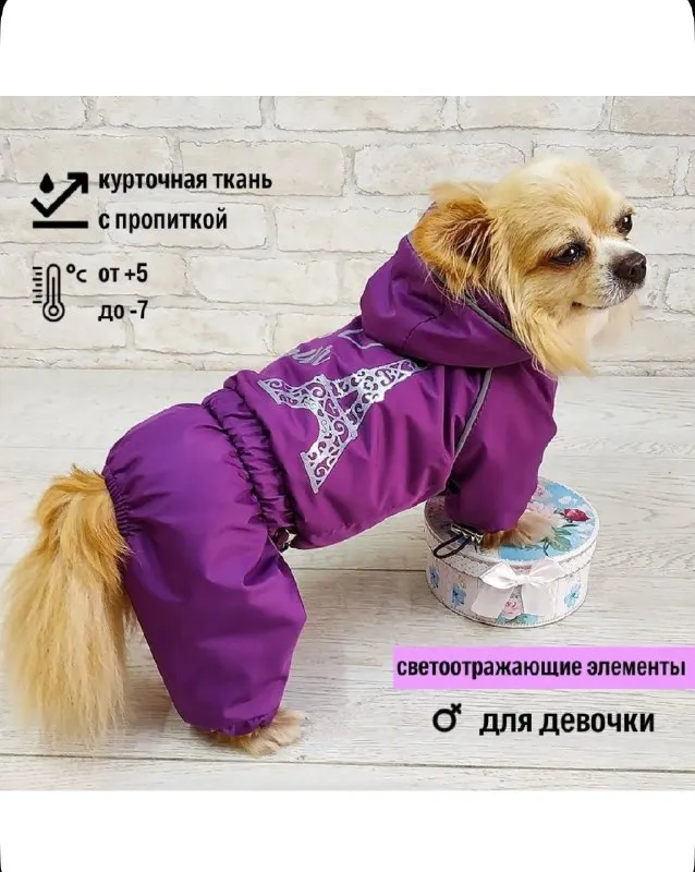 Описание: комбинезон на собачку/девочку. размер ml, в фотках будет таблица с замерами. очень стильный и удобный. выглядит как новый, надели пару раз и выросли. покупали дорого ( почти 4000р) цена: 1800 руб. 📲 tg: k. kckm 📞🇷🇺звоните: +79493688158 барахолка днр - фотография - 4