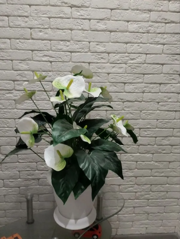 Описание: продам копилку и искусственные цветы цена: 3000 руб. 📲 tg: 59094 📞🇷🇺звоните: 0717349069 барахолка днр - фотография - 2