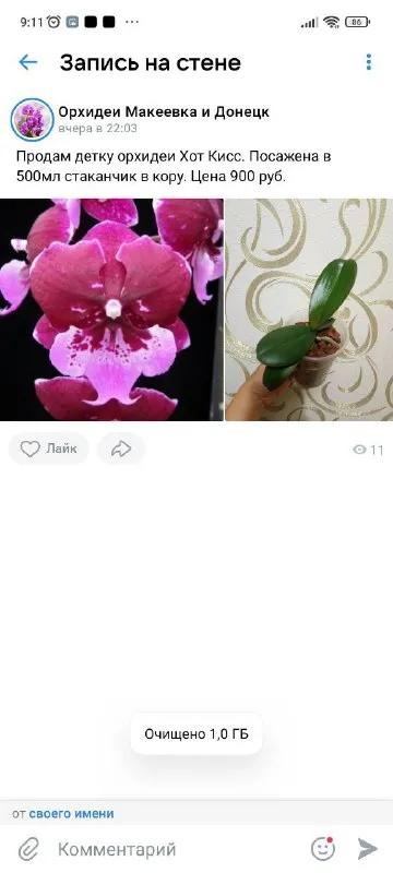 Описание: продам орхидеи раздача: макеевка-харцызск-донецк цена: 1500 руб. 📲 tg: инна 📞🇷🇺звоните: +7... - фотография