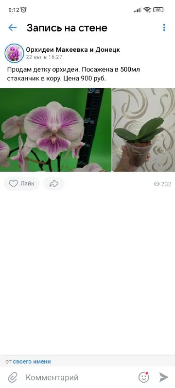 Описание: продам орхидеи раздача: макеевка-харцызск-донецк цена: 1500 руб. 📲 tg: инна 📞🇷🇺звоните: +79494042860 барахолка днр - фотография - 5