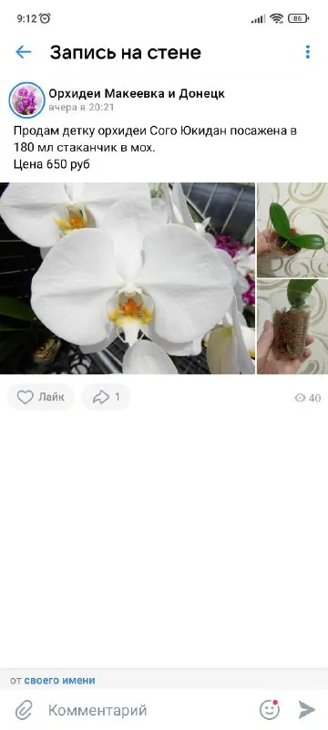 Описание: продам орхидеи раздача: макеевка-харцызск-донецк цена: 1500 руб. 📲 tg: инна 📞🇷🇺звоните: +79494042860 барахолка днр - фотография - 8