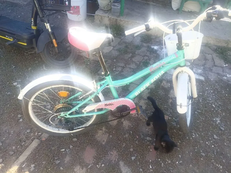 Описание: велосипед black aqua bella 20 дюймов диаметр колеса, для девочек на рост от 120-125см и до... - фотография