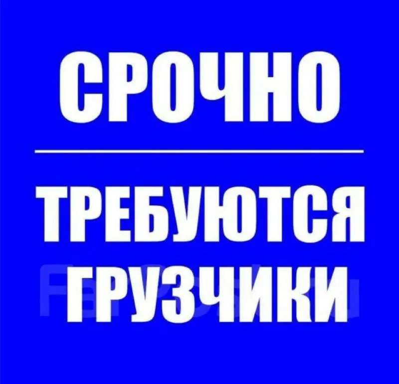 На склад продуктов питания требуется ✅ грузчик в ночь 📌график 2/2 с 19:00 до 7:00 📌зп 3000/смена ⚡️о... - фотография - 1