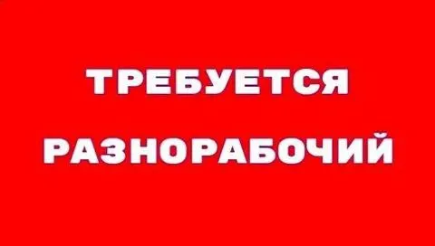 ✅требуется разнорабочий до 30 лет ⏩с опытом на укладку тротуарной плитки ⏩умение работать с электрои... - фотография - 1