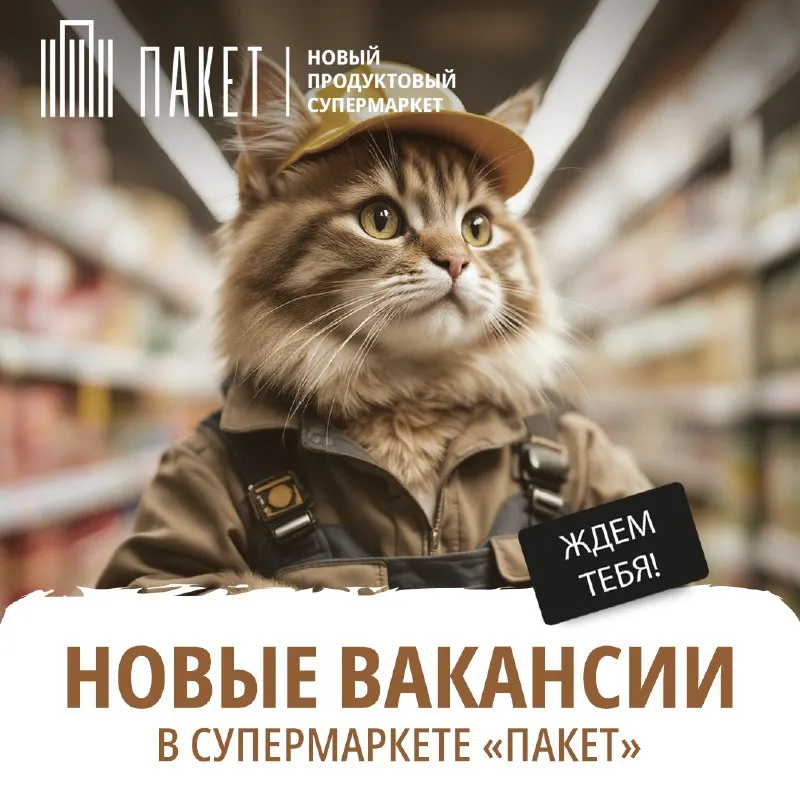 В развивающуюся сеть магазинов пакет и гипермаркет паллет требуется: ✅ заведующий производством (мяс... - фотография