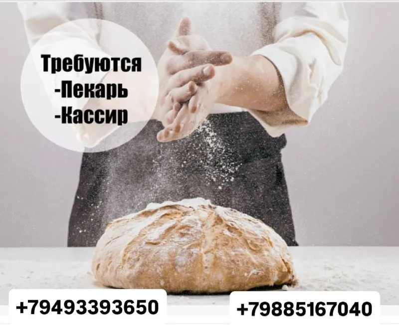 Требуются сотрудники в магазин -пекарню! донецк, улица сигова / проспект мира рядом с магазином амбар и доброцен‼️ в связи с открытием новых точек, мы ищем в команду ответственных и увлечённых профессионалов! открыты вакансии: 🟢пекарь готовой продукции 🟢кассир принимаем без опыта работы, обучение. мы предлагаем: работу в центре города стабильную заработную плату❗️ удобный график работы дружный коллектив возможность профессионального роста❗️ контакты для связи: +79493393650 +79885167040 сергей - фотография - 1