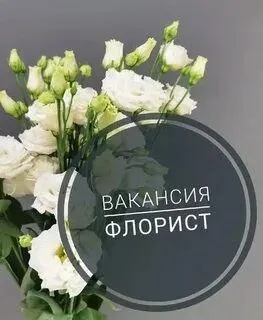 ❗️на постоянную работу требуется флорист 🌸 ▫️с опытом работы ▫️возраст от 18 лет ▫️район эдельвейс в... - фотография