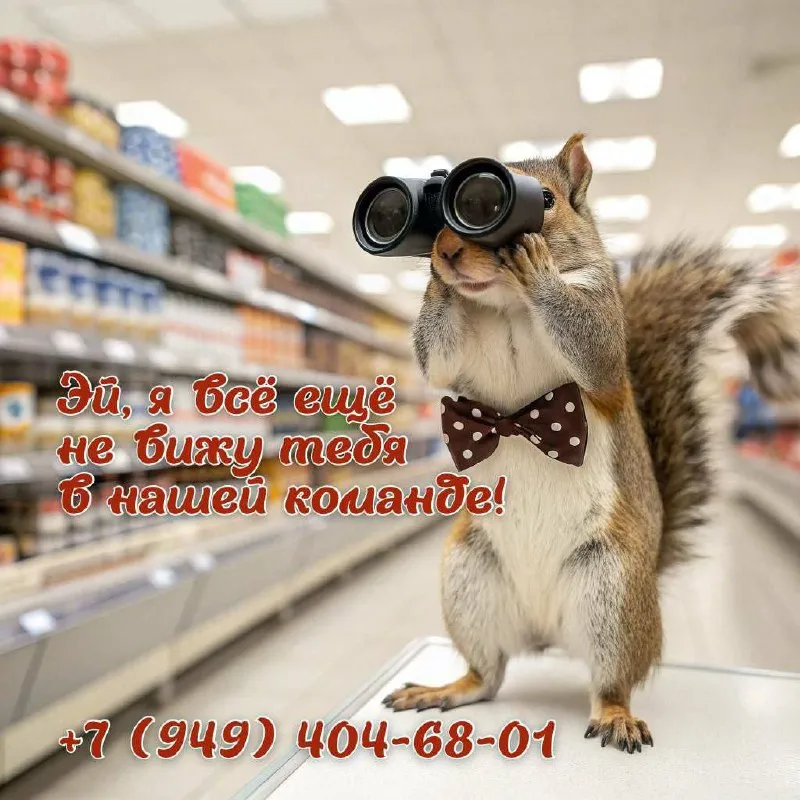 🟫 в крупную торговую компанию г. донецка требуются: 🟤 начальник отдела продаж колбасного производств... - фотография