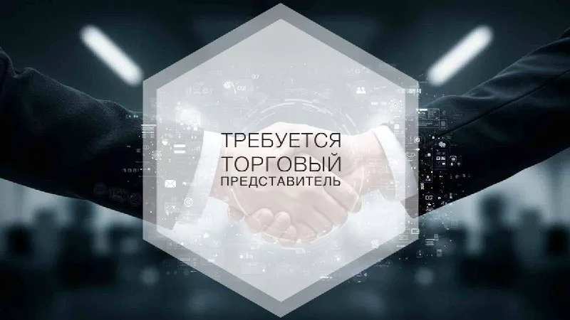 🚀торговый представитель в стабильную компанию тк «тандем» ищет в свою команду активного торгового пр... - фотография
