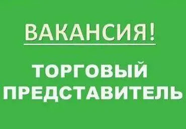 ❗️требуется торговый представитель! ▫️бытовая химия и косметика -официальное трудоустройство; -компенсация топлива; -оклад+%; ☎️ +79882586700 дмитрий - фотография - 1