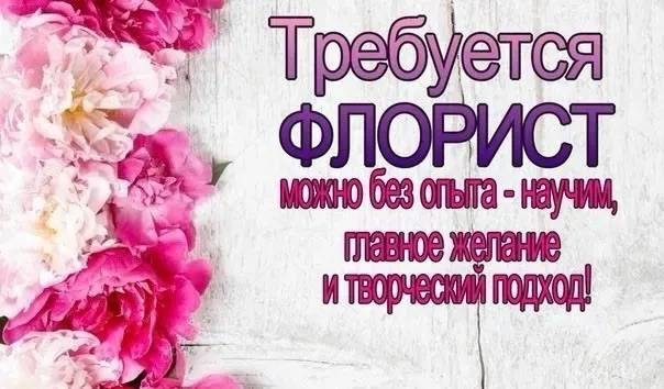 Микрорайон зеленый требуется флорист, можно без опыта график 3/3 с 7:30 до 21:30 выход - 5000₽ зарпл... - фотография