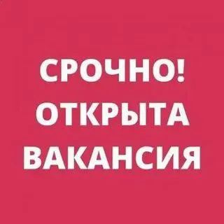 ❗️в shelter требуются ( на нахимова 41): 🟢официанты ❕ставка 2000 + 3% + чай 🟢посудомойщица ❕3000+ на... - фотография