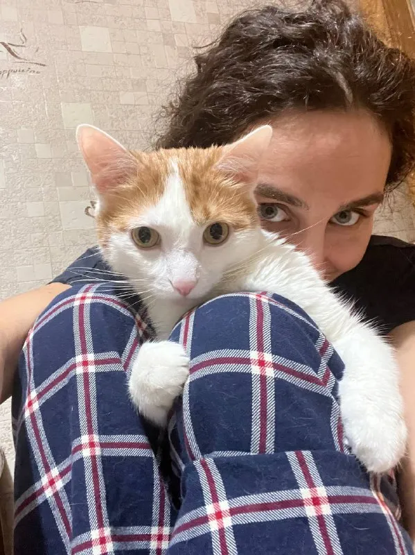 Сниму 1-к/2-к квартиру🔎 добрый день! Разыскивается светлая квартира в длительную аренду (1-2 комнатн... - фотография