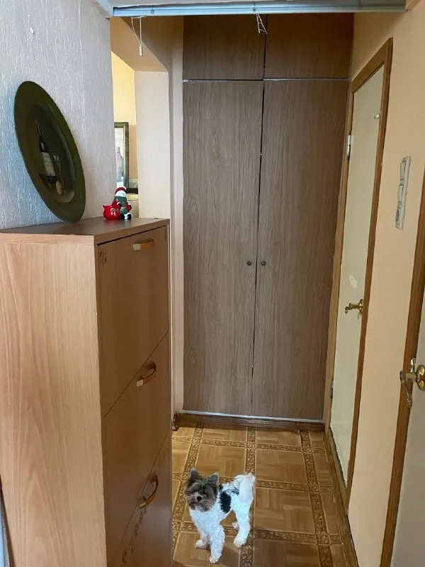 Комната🏙️ м. Улица академика янгеля9️⃣ сдаётся уютная комната для одной девушки в 2-комнатной квартире. 📍 метро академика янгеля – 6 минут пешком ✨ о квартире и комнате: ▪️ просторная (20 м²), светлая комната с балконом ▪️ много мест для хранения вещей ▪️ чистая, уютная квартира, в которой приятно жить 👩 о себе : ▪️ мне 30 лет, я спокойная, адекватная, работающая 5/2 ▪️ живу здесь уже 8.. . Background-image:url('//telegram. Org/img/emoji/40/f09f8fa1.png')">🏡 плюсы проживания: ▪️ хозяева не беспокоят, живут в другом городе (приезжают раз в год в лучшем случае ) ▪️ тихие, комфортные условия для жизни, все рядом и в пешей доступности 💳стоимость: ▪️ 30.000₽/месяц (включая ку, интернет, домофон и прочее) ▪️ депозит 20.000₽ (возвращается при выезде) ▪️ оплата до 25 числа каждого месяца с 15 по 20.01 буду в отъезде и просмотры возможны начиная с 21.01 если ты ищешь уютный, комфортный дом, а не просто место для сна – пиши, будем знакомиться! 😊 💌telegram: @ya_styusha - фотография - 9