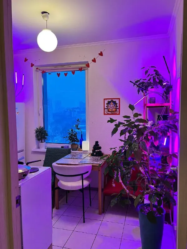 1-к квартира🏙️ м. Проспект вернадского1️⃣ пересдам свою уютную однушку 35 м² с огромным балконом. Белая, чистая, теплая квартира. Посудомойка, фильтр на кране, робот-пылесос. В идеале прямо с 01 января на 2-4 месяца, по датам можем договориться. 📍адрес: проспект вернадского, 56 ✔️8-10 минут от метро или 2 остановки на любом автобусе ✔️вкус вилл, вб, озон, маркет, аптека в соседнем доме ✔️surf, cofix, огромный да у метро 💳цена: 51.000₽/месяц. Пересдаю квартирку пока ищу работу, передам в добрые руки 🥺 💌пишите мне в лс: @espera_esperance - фотография - 3