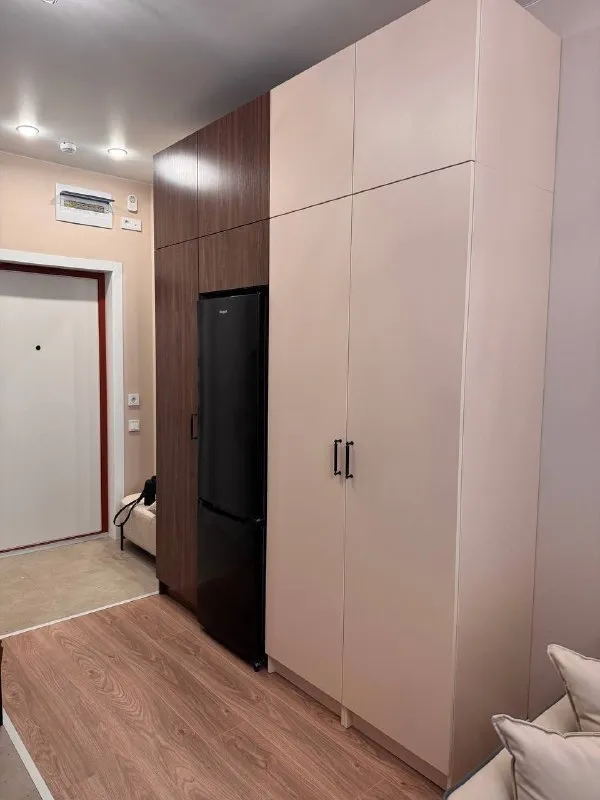 М. Новомосковская студия сдается квартира студия на долгий срок. Делала для себя, с душой и умом. 22 м², этаж 5. В квартире есть: посудомоечная машина, стиральная машина с режимом сушки, холодильник, чайник, плита и микроволновка. Мебель сделана на заказ, продуманное и большое количество места для хранения. Диван раскладывается. В ванной комнате зеркало с подсветкой и удобная душевая. (действительно можно нормально мыться, не тесно) большой балкон, много света в квартире. Квартира ранее не сдавалась, все абсолютно новое! Рассмотрю девушку или молодую пару метро новомосковская 10 минут пешком цена 58.000₽/месяц. Контакты @sofivolsofi ➡️предоплату/бронь/заморозку денег/автооплату до просмотра квартиры не вносить! Если по этому объявлению спрашивают какую либо оплату сообщите по контактам в описании канала. - фотография - 4